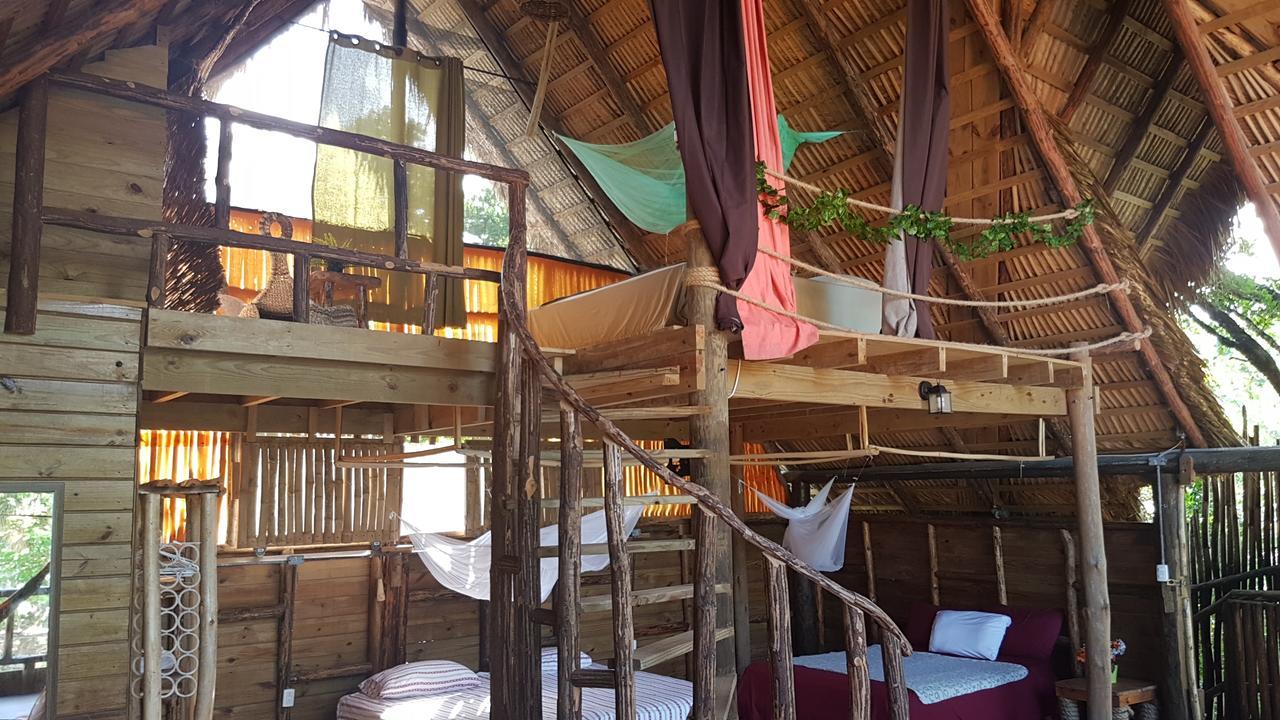 Cabarete Maravilla Eco Lodge & Beach Ngoại thất bức ảnh